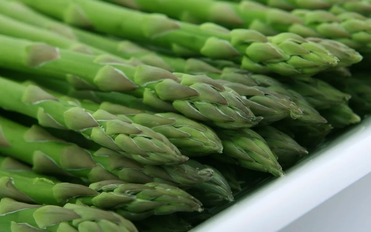 Frische grüne Spargelstangen mit geschlossenen Köpfen, dicht nebeneinander auf einer weißen Schale aufgereiht.