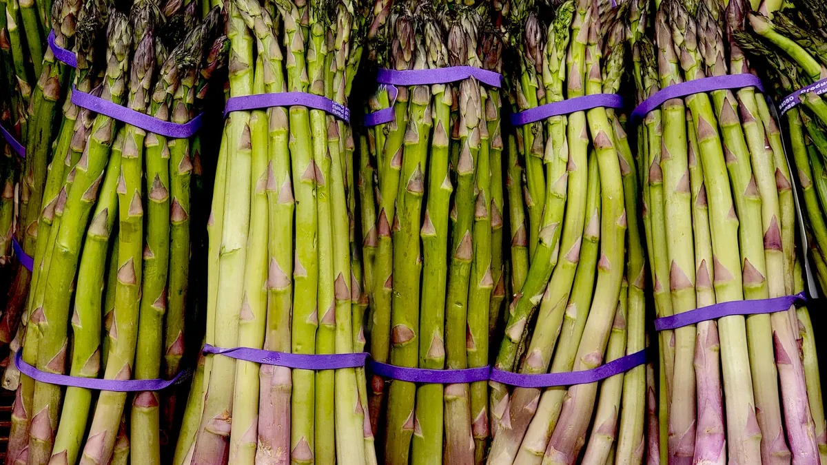 Ein Bund frischer, grüner Spargel liegt in einem Korb im Garten.